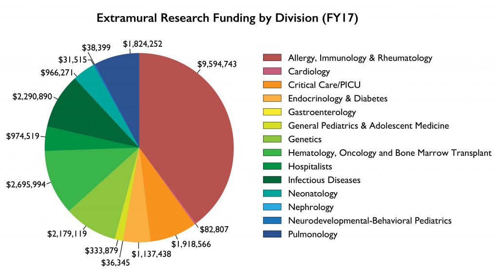 Extramural Research Funding by Division 2017