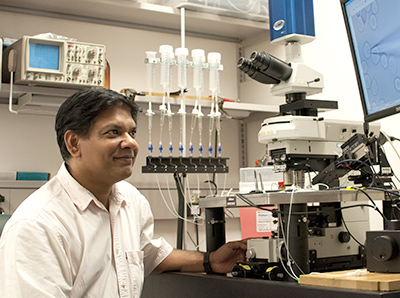 Dr. Pattnaik’s lab is investigating novel therapeutic approaches for Leber Congenital Amaurosis, an inherited disease that causes blindness at birth