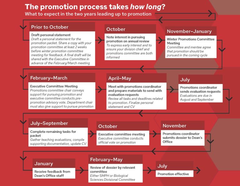 The Promotion Timely is a flowchart explaining the month-by-month promotion process.